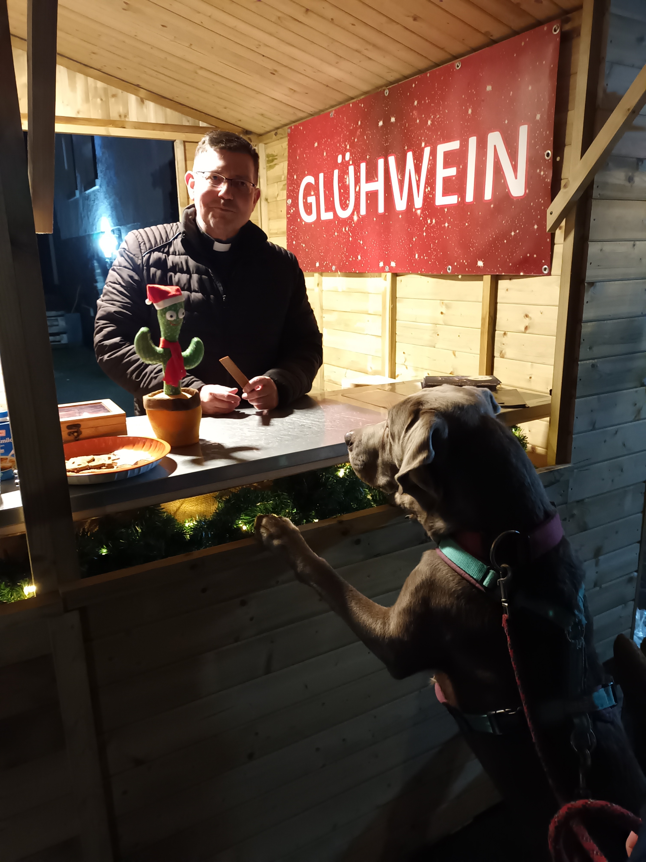 Hund an der Adventsbude (c) Pfarreiengemeinschaft Waldbreitbach - Niederbreitbach - Kurtscheid Hund an der Adventsbude