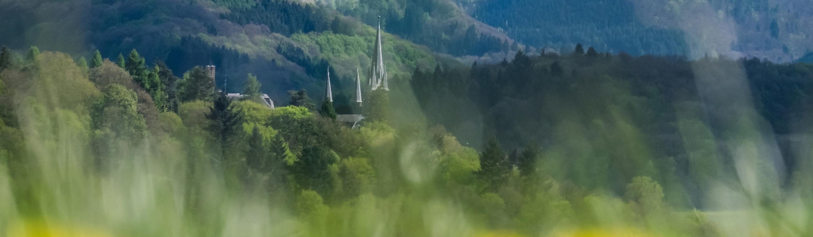 Salzkörner