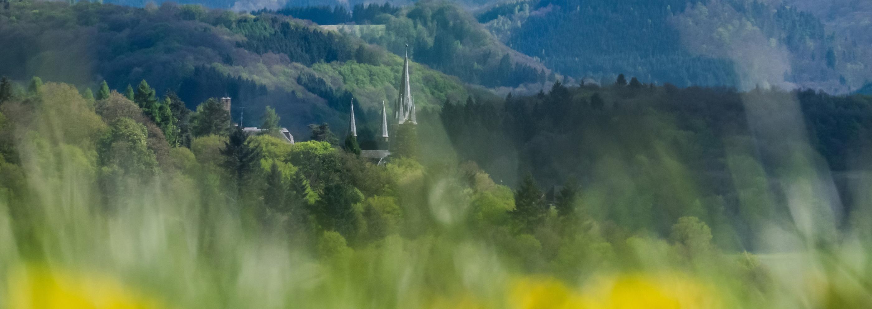 Salzkörner