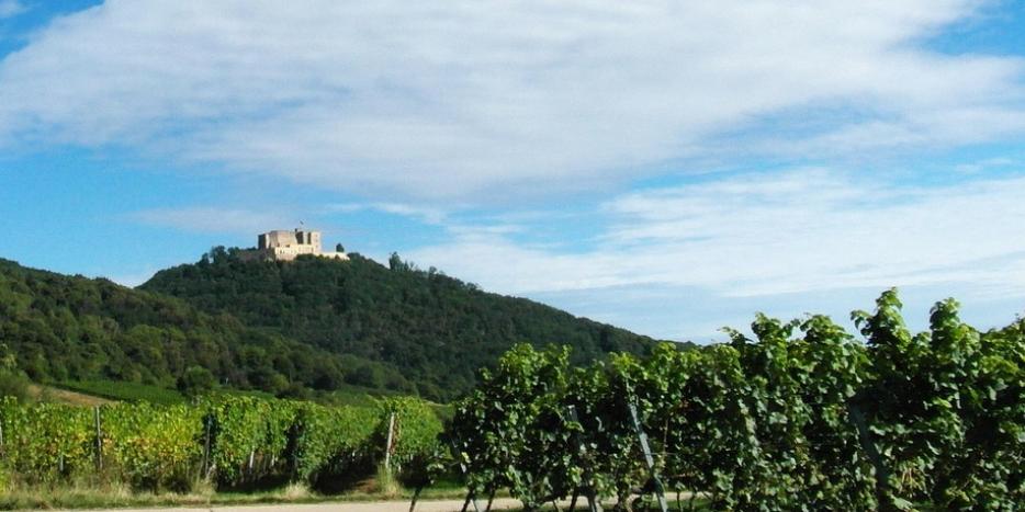 Hambacher Schloss Neustadt/Weinstraße