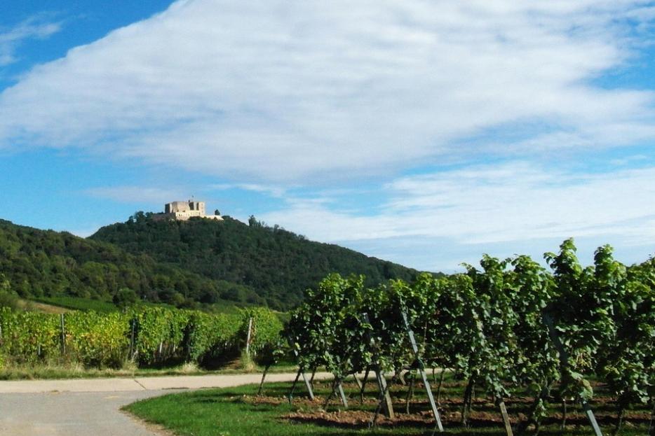 Hambacher Schloss Neustadt/Weinstraße