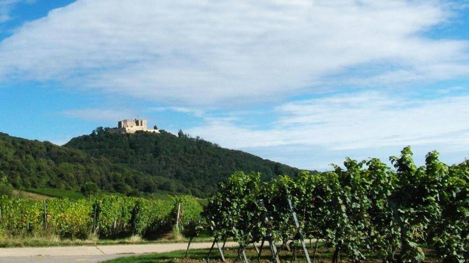 Hambacher Schloss Neustadt/Weinstraße
